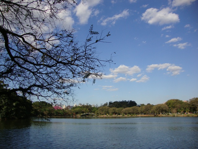 Parque do Ibirapuera - 2009
